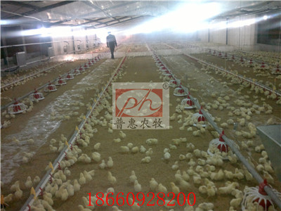 �B(y��ng)���O(sh��)��-�Ͼ�