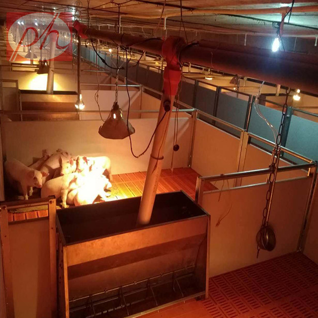 ������,С�i�����ᣬ�߶˱�����λ�����ر�����