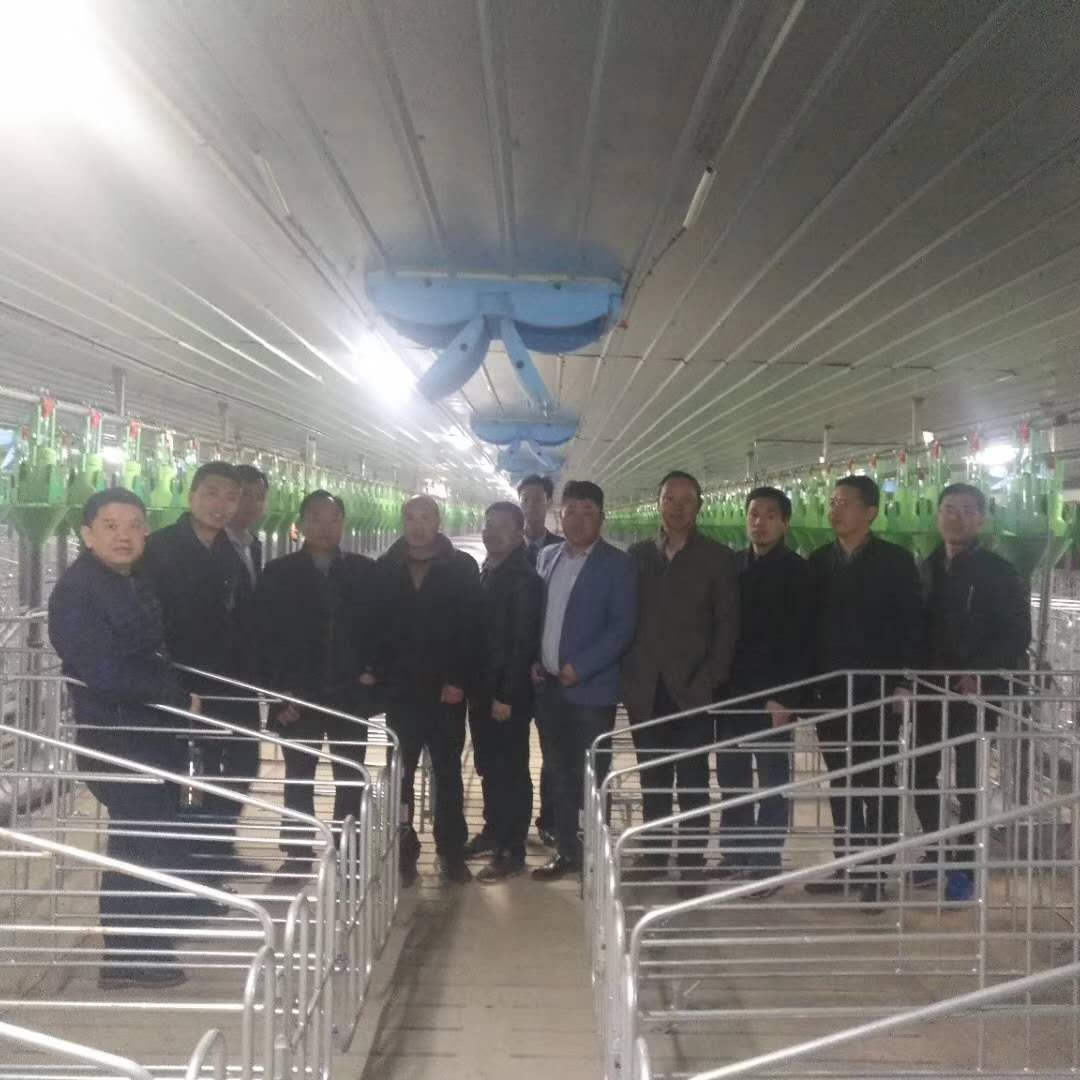 河南民正股份萬(wàn)頭豬場(chǎng)項(xiàng)目