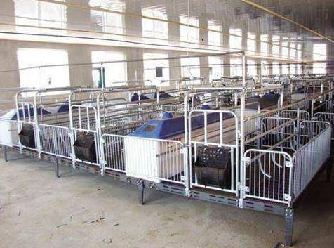 ��Щ���ؕ���(d��o)�����i�����w��������